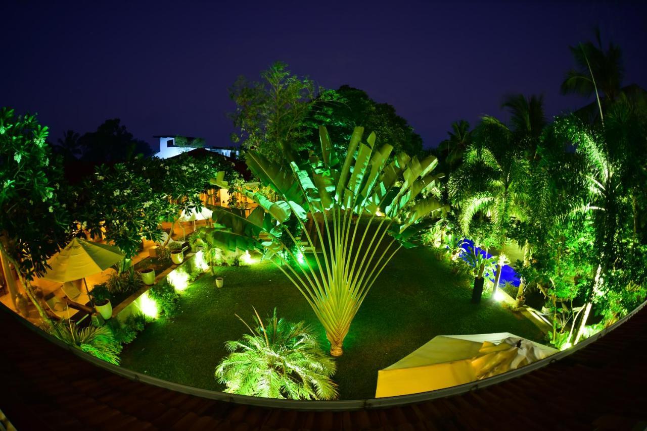 Tropical House - Jungleside Villa هيكادوفا المظهر الخارجي الصورة